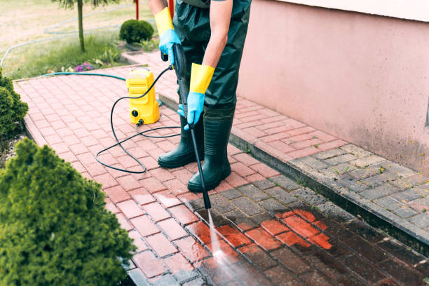 Animal Enclosure Cleaning in Kamiah, ID